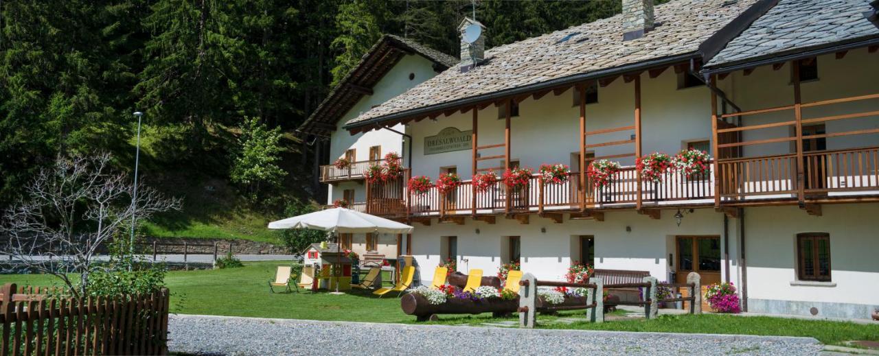 Dresalwoald Bed and Breakfast Gressoney-Saint-Jean Exteriör bild